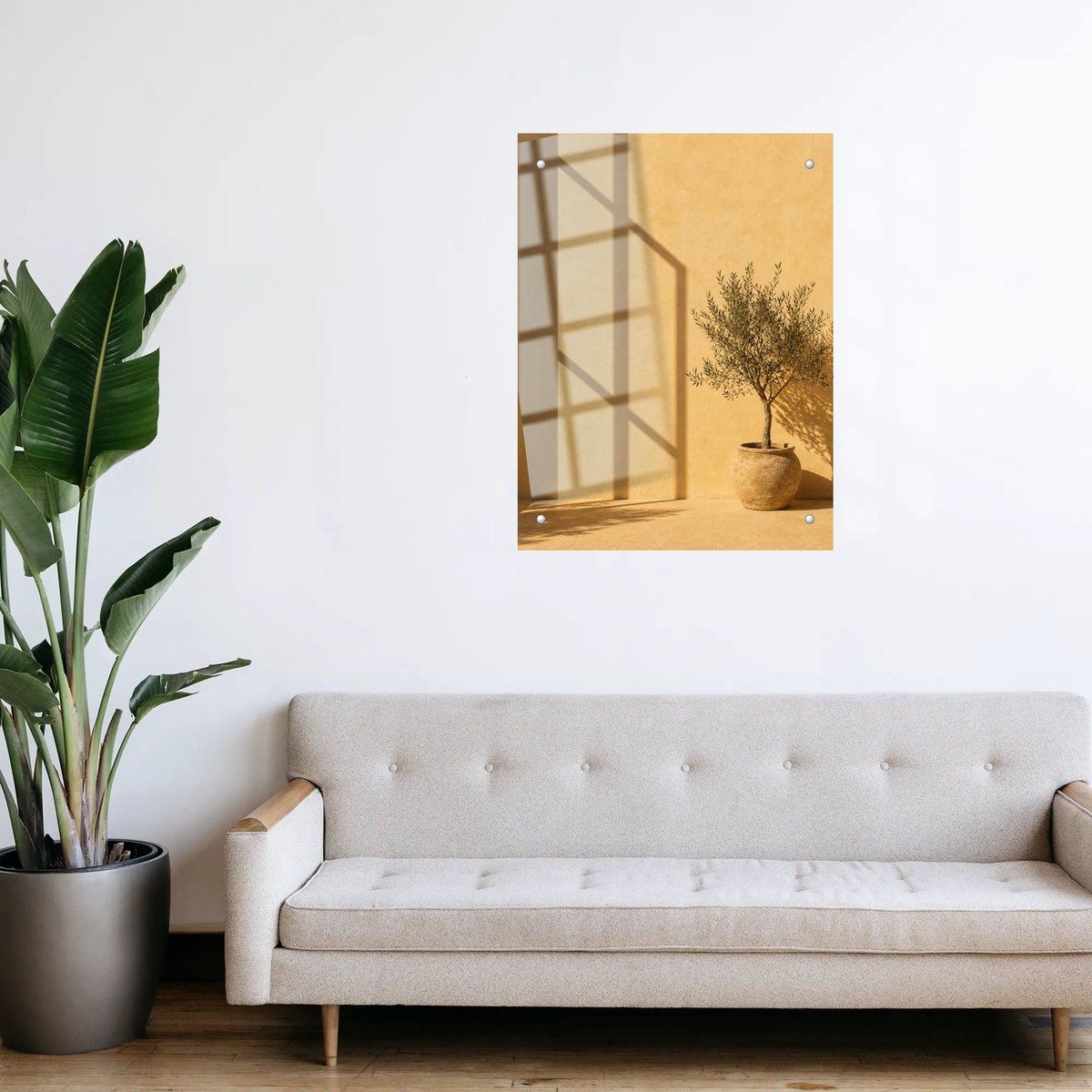 Sun Dappled Olive Serenity — room view 3