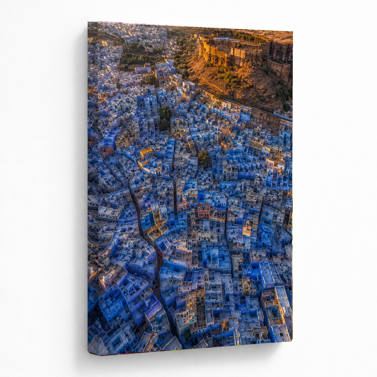 Jodhpur's Azure Heartbeat — room view 5